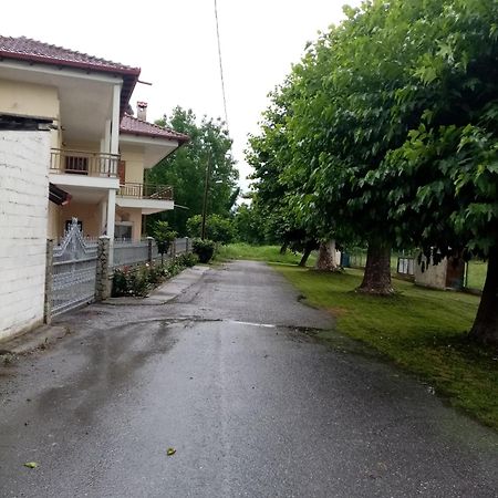 Mary'S House Βίλα Αριδαία Εξωτερικό φωτογραφία